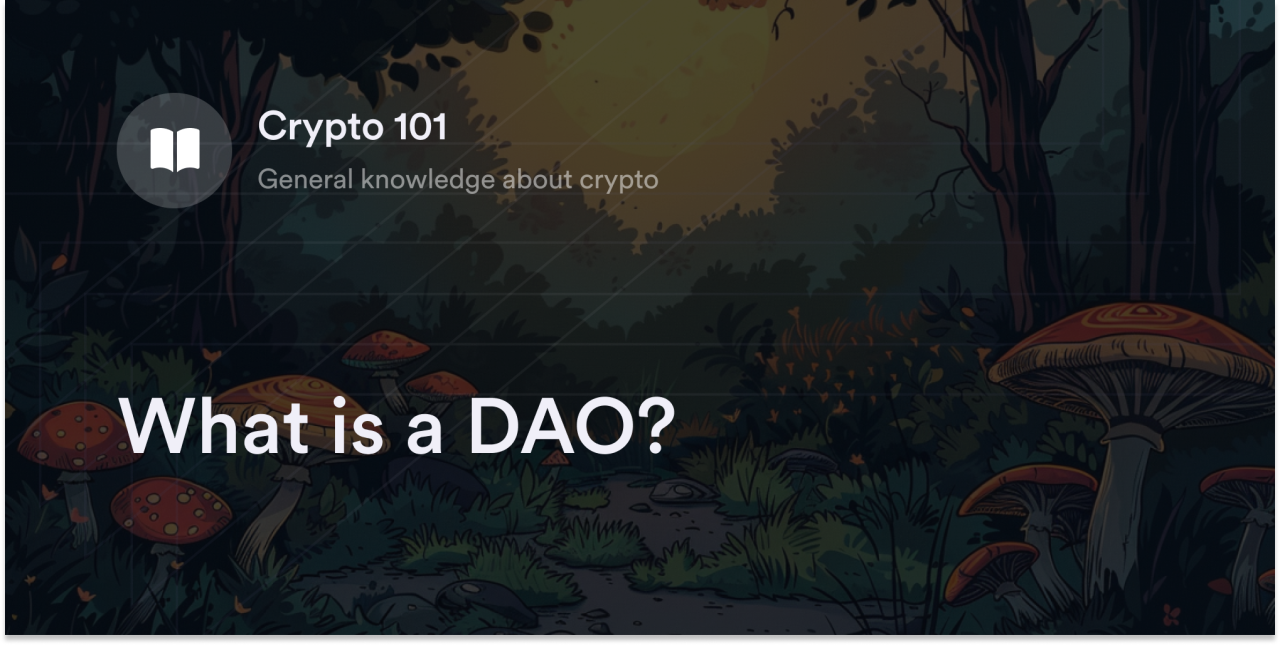 What is a DAO